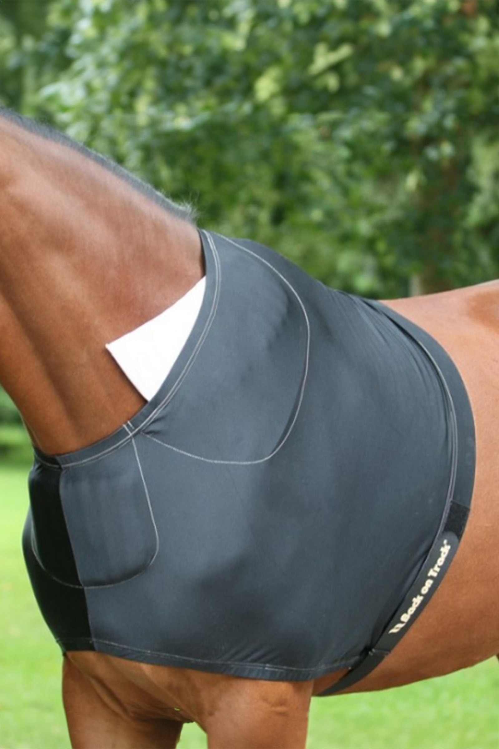 Back on Track Schulterschutz