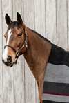 Kentucky Horsewear Schwere Fleecedecke