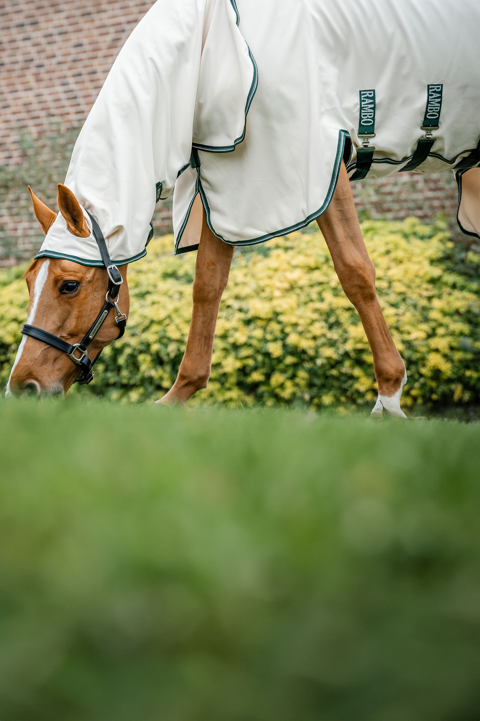 Horseware Rambo Hoody Fliegendecke