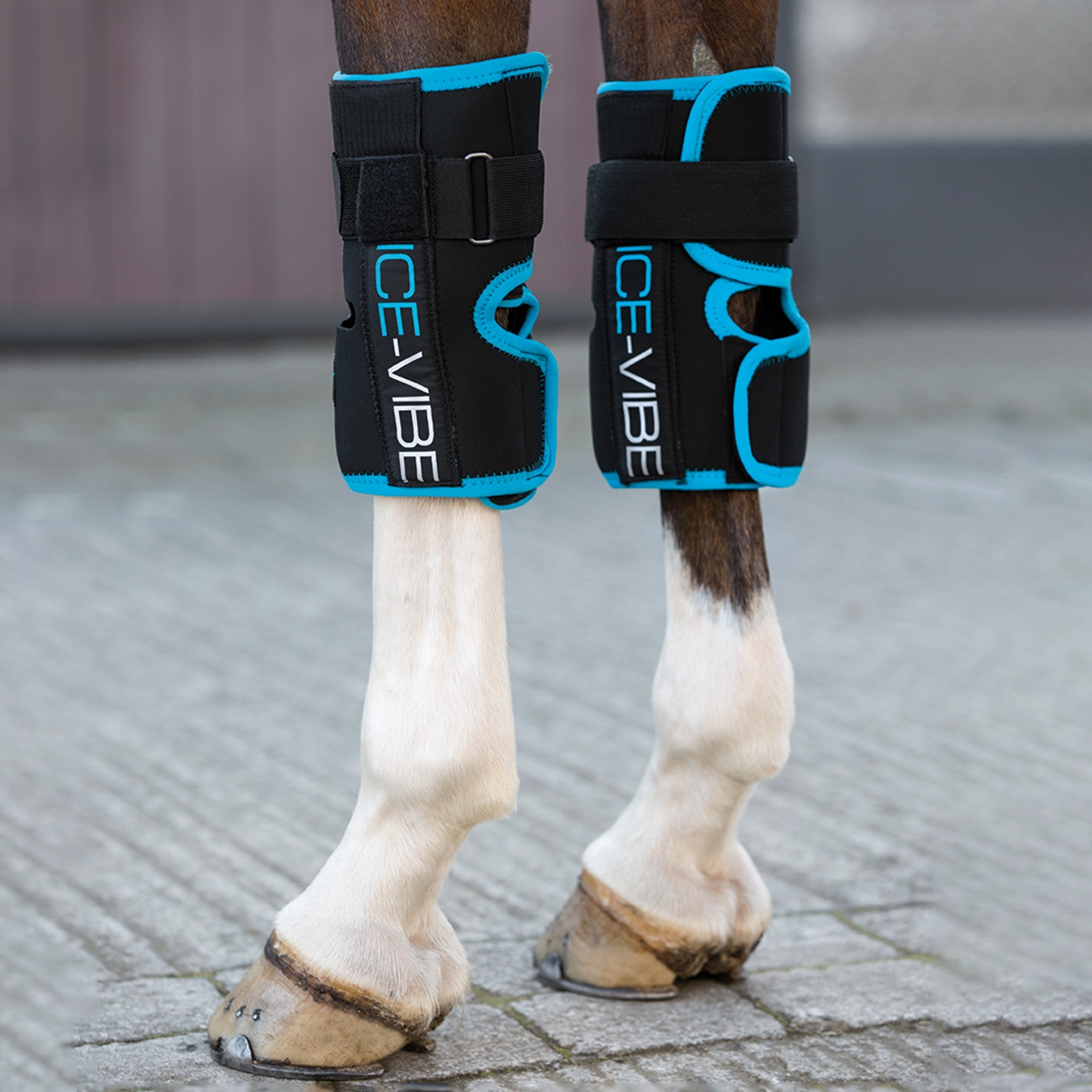 Horseware Ice-Vibe Gamaschen Vorderfu&szlig;wurzelgelenk