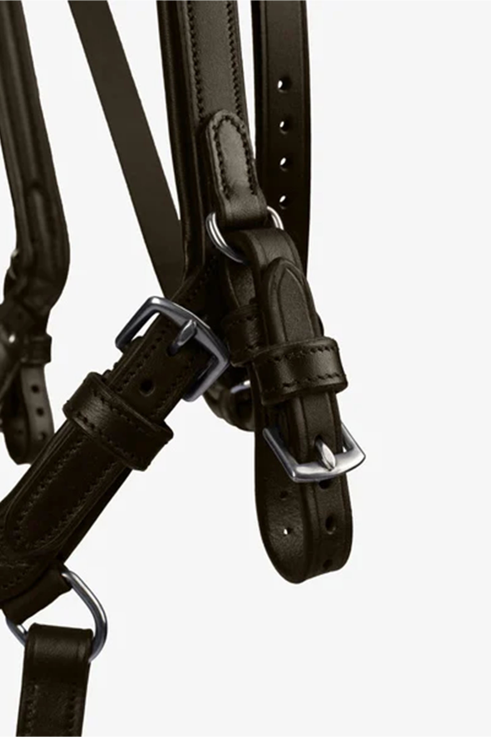 PS of Sweden Trense King Edward