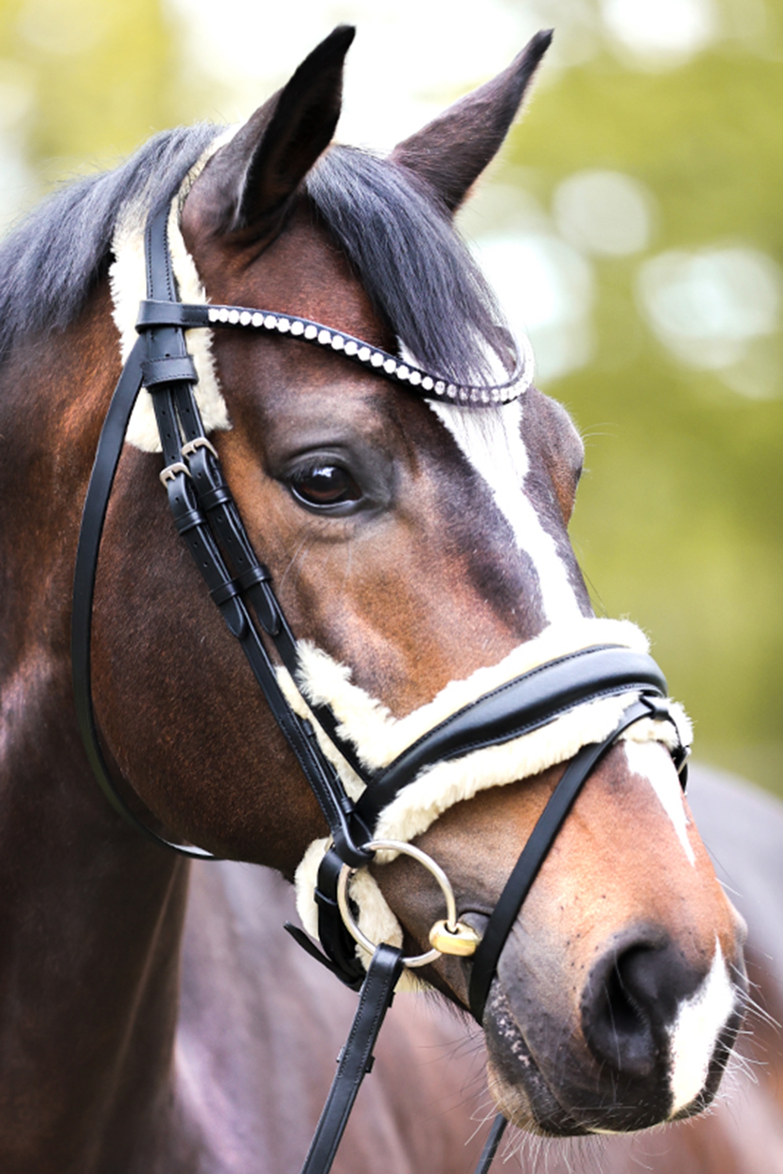 Kavalkade Joyce KavalSH4 Trense