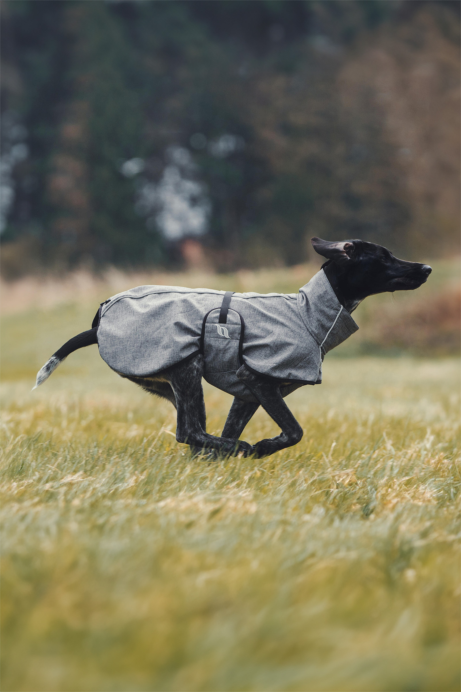 Back on Track Bark All-Round Hundemantel, 40-50cm