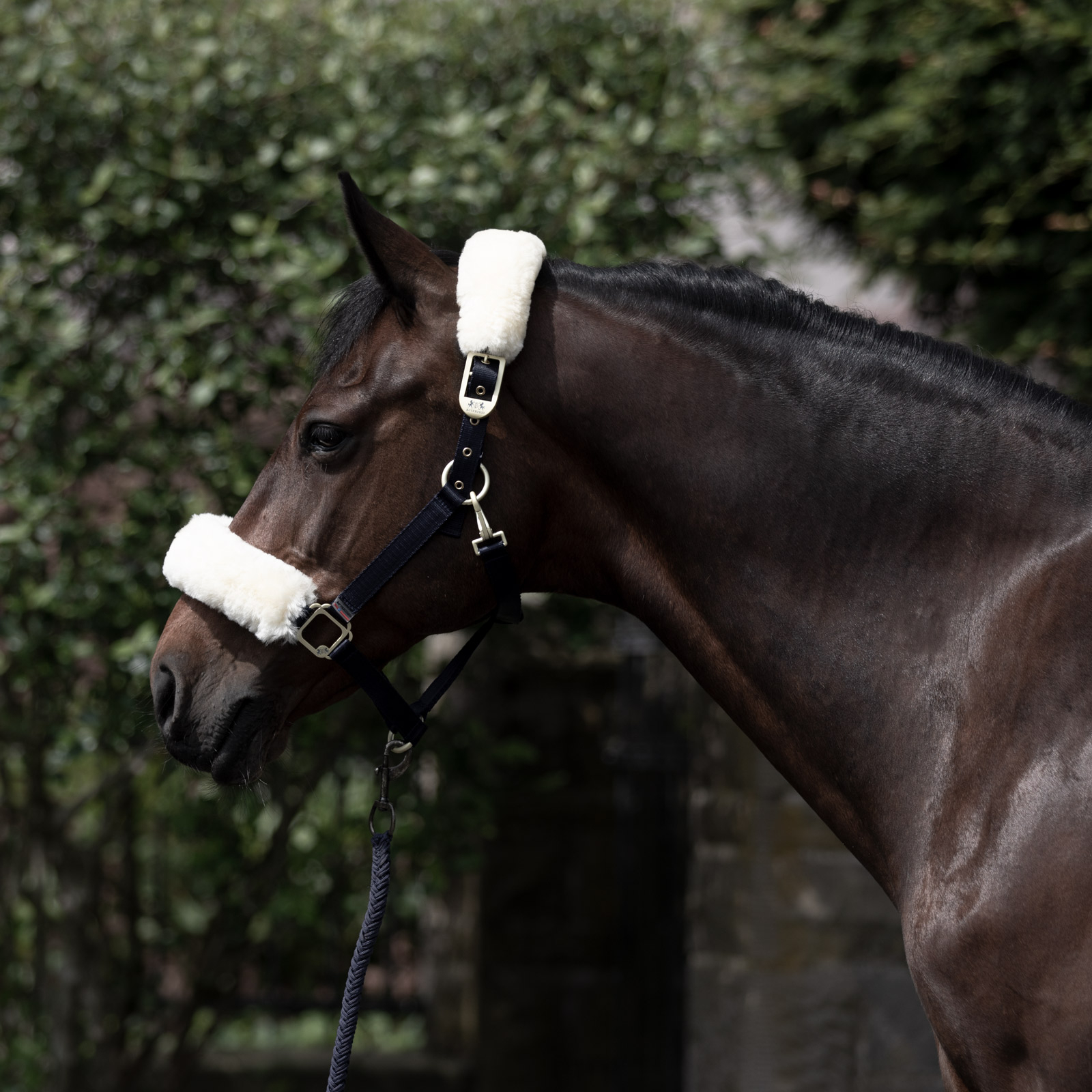 B Vertigo Laurier Halfter mit Lammfell