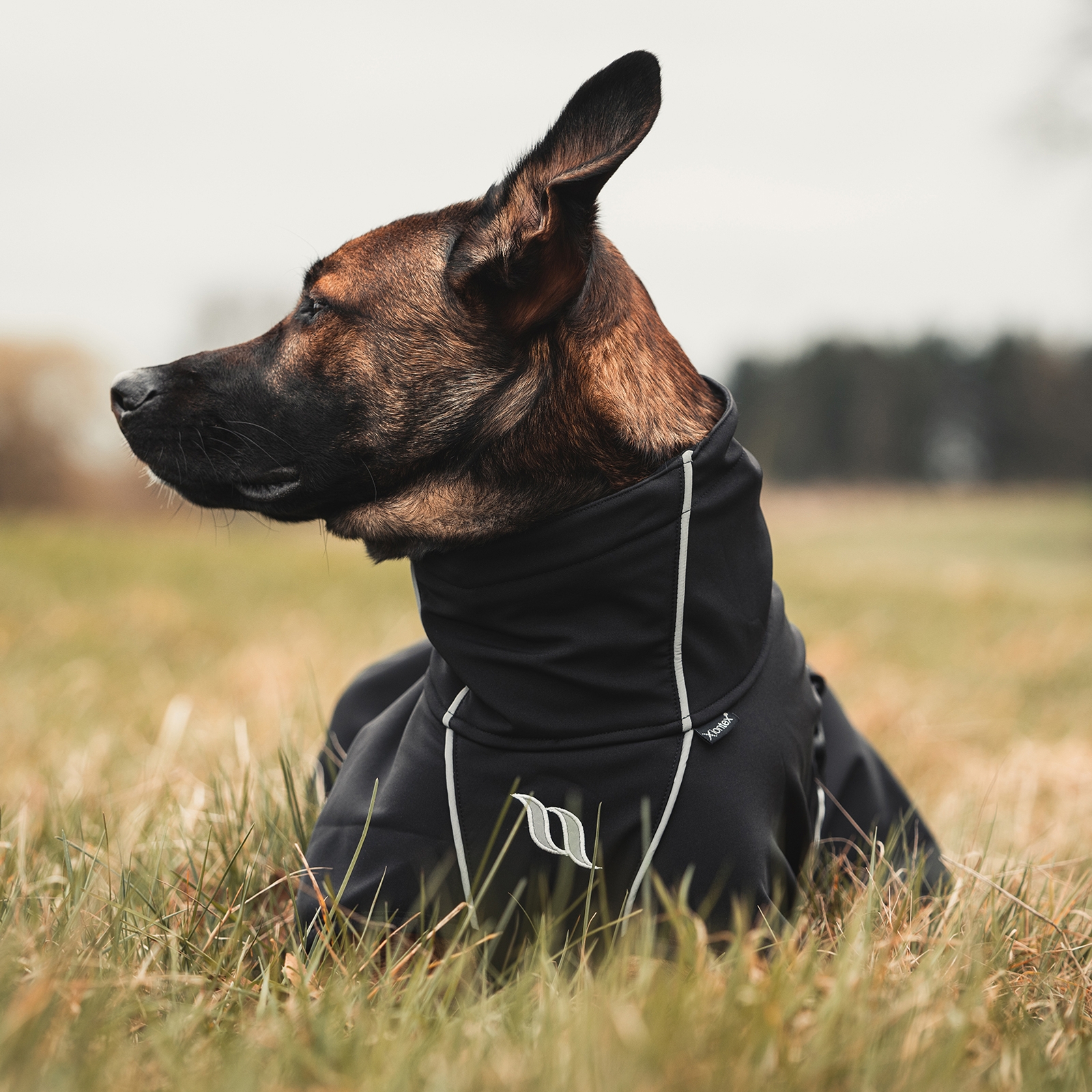 Back on Track Nella All-Round Hundemantel, 55-65 cm