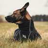 Back on Track Nella All-Round Hundemantel, 55-65 cm