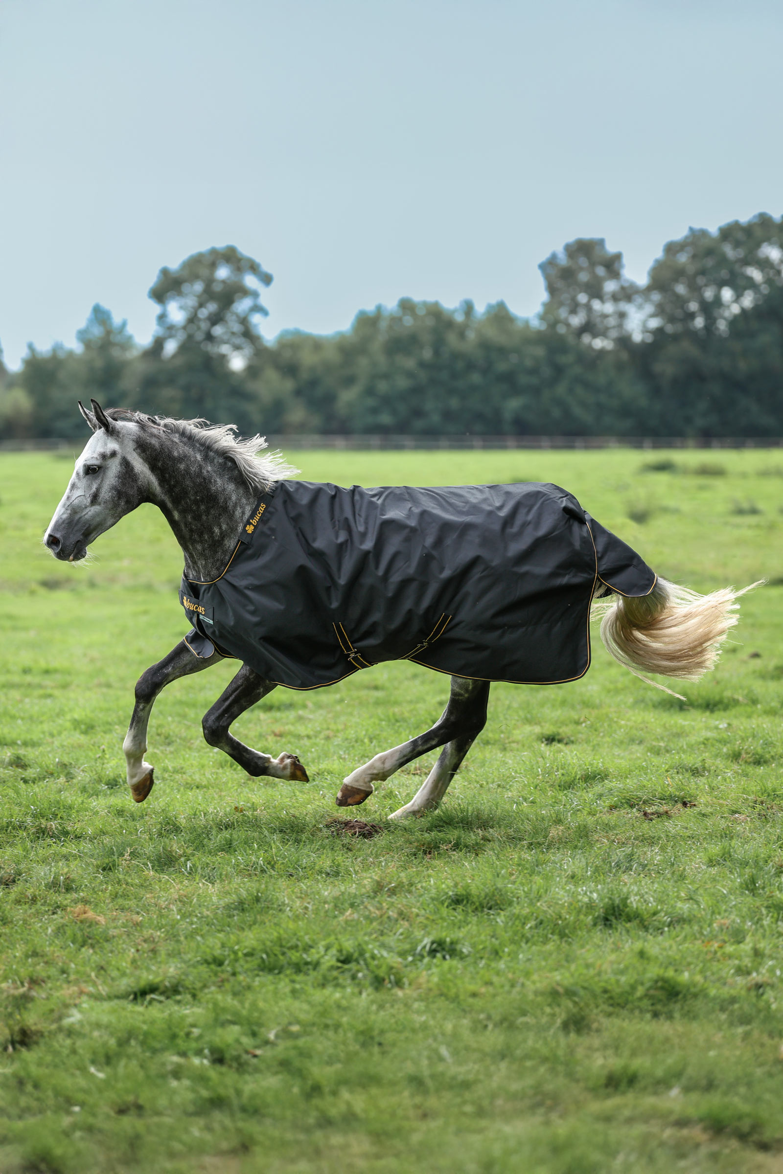 Bucas Irish Outdoordecke, 100 g