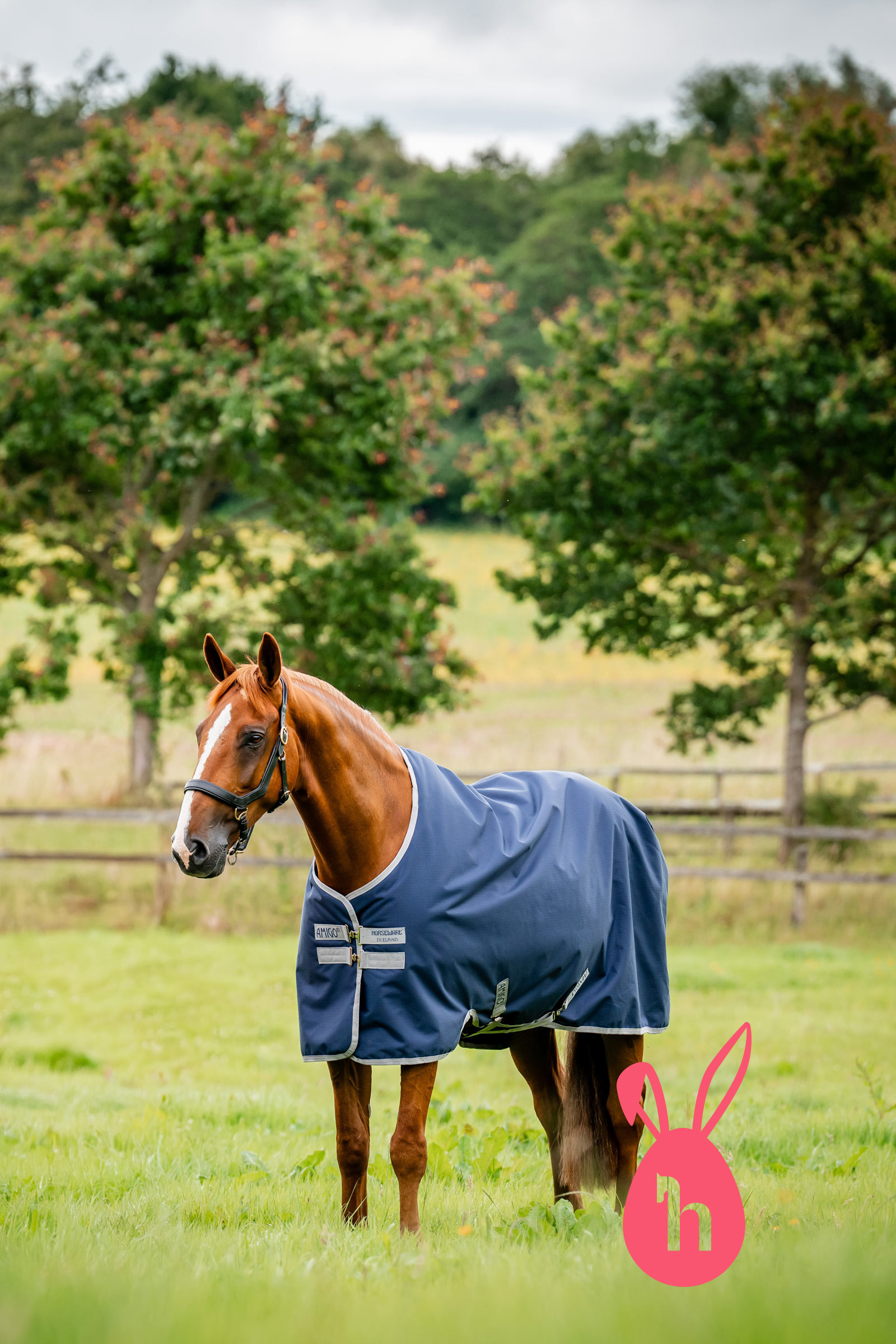 Horseware Amigo Ripstop Weidedecke 900D, 0g