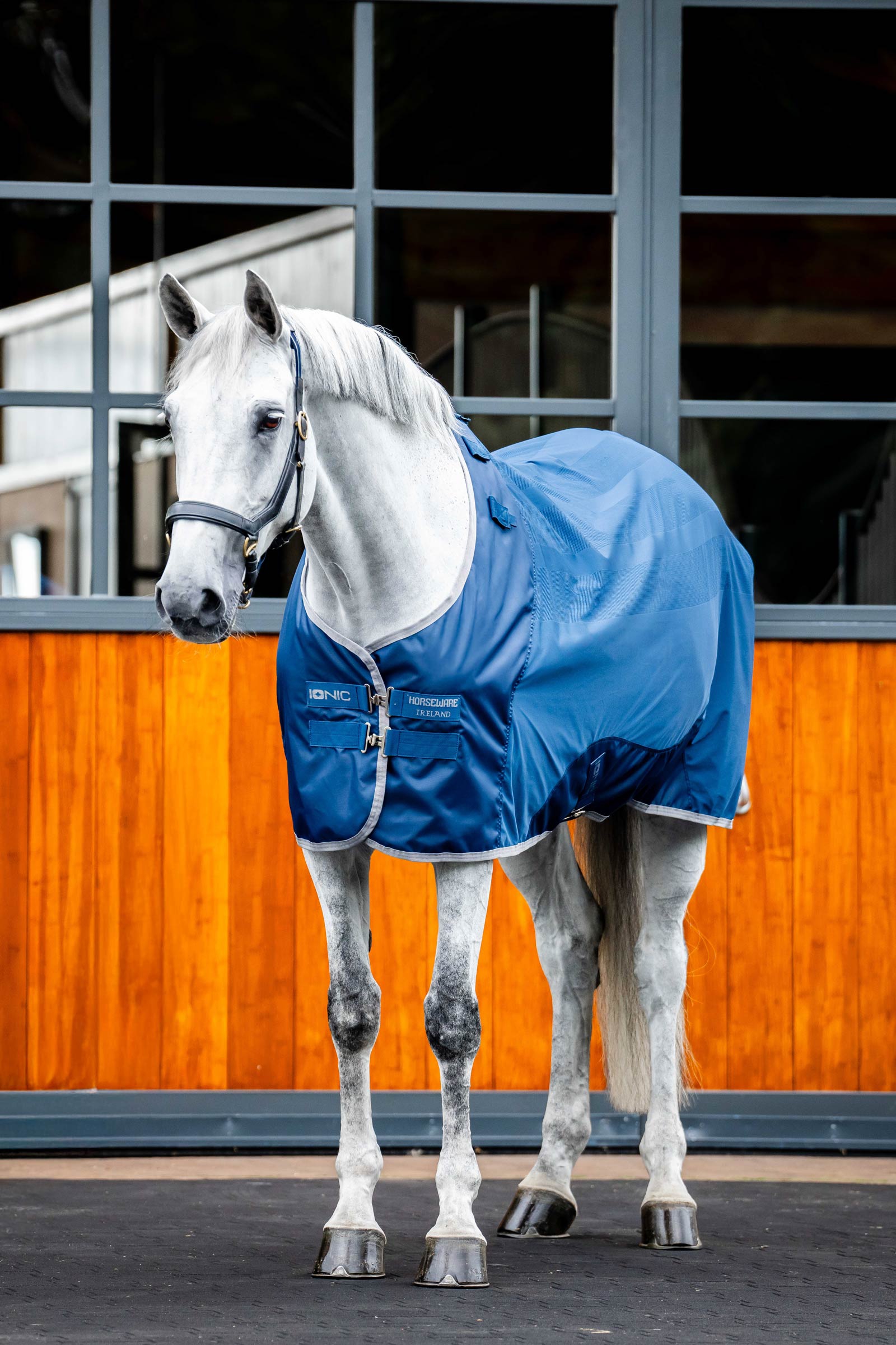 Horseware Ionic Therapy Mesh Abschwitzdecke