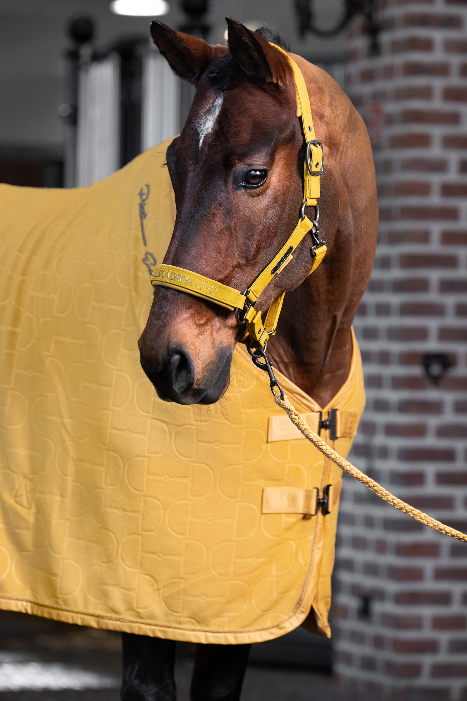 Eskadron Platinum 25 Doppelte Pin Halfter aus Kunstleder