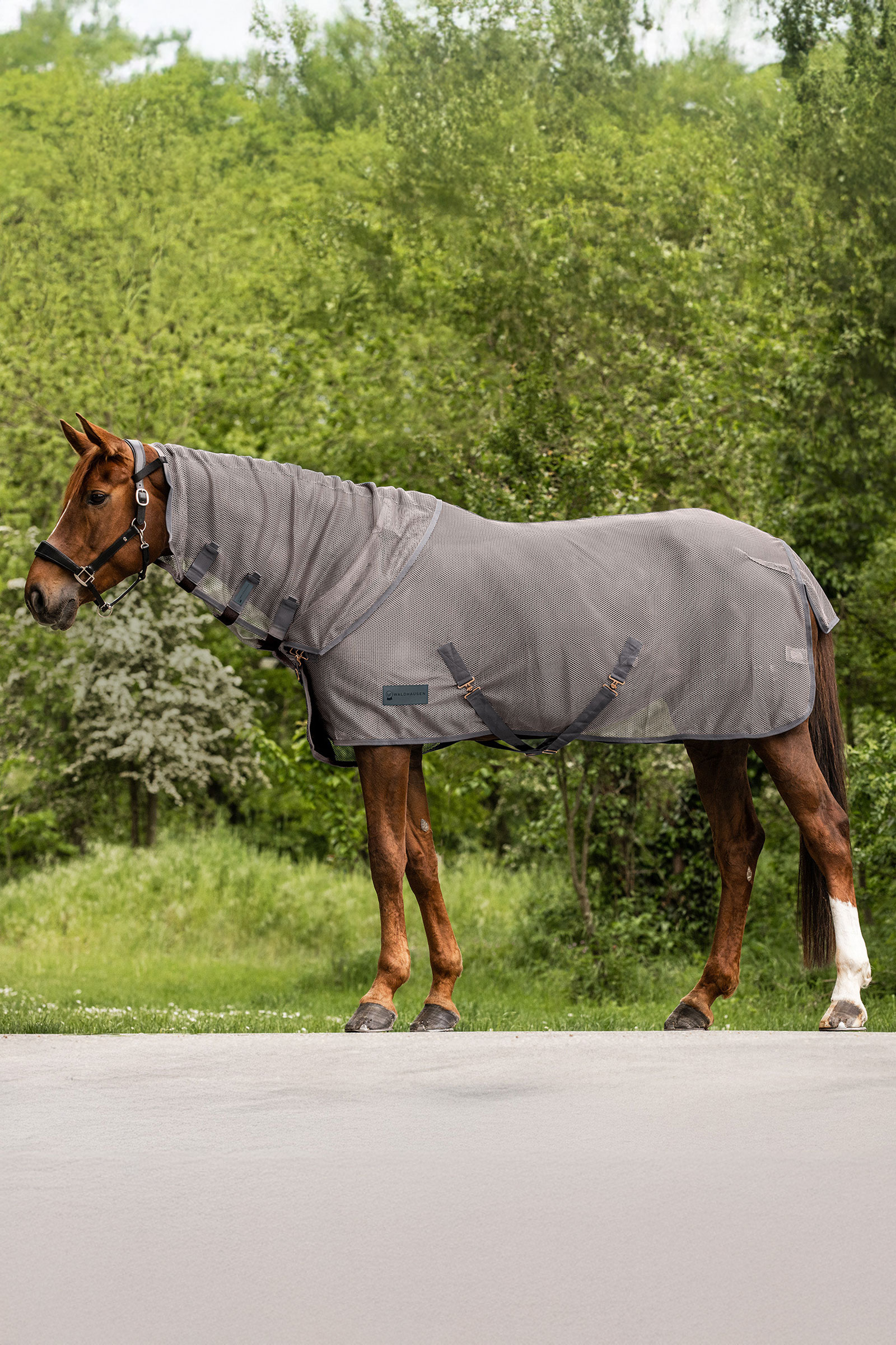 Waldhausen Comfort Fliegenhalsteil