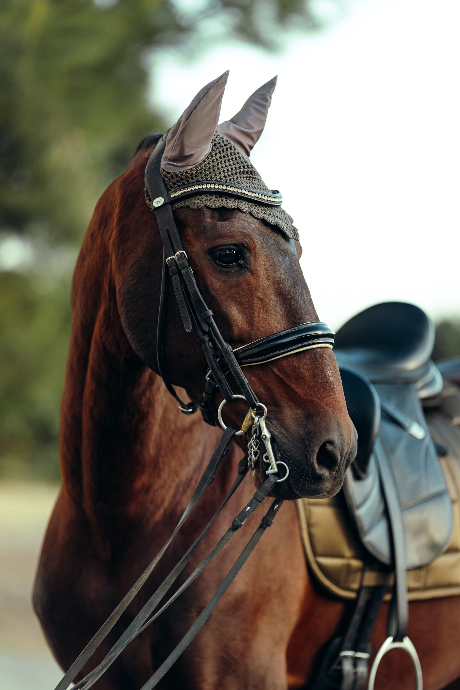 B Vertigo Drew Fliegenhaube