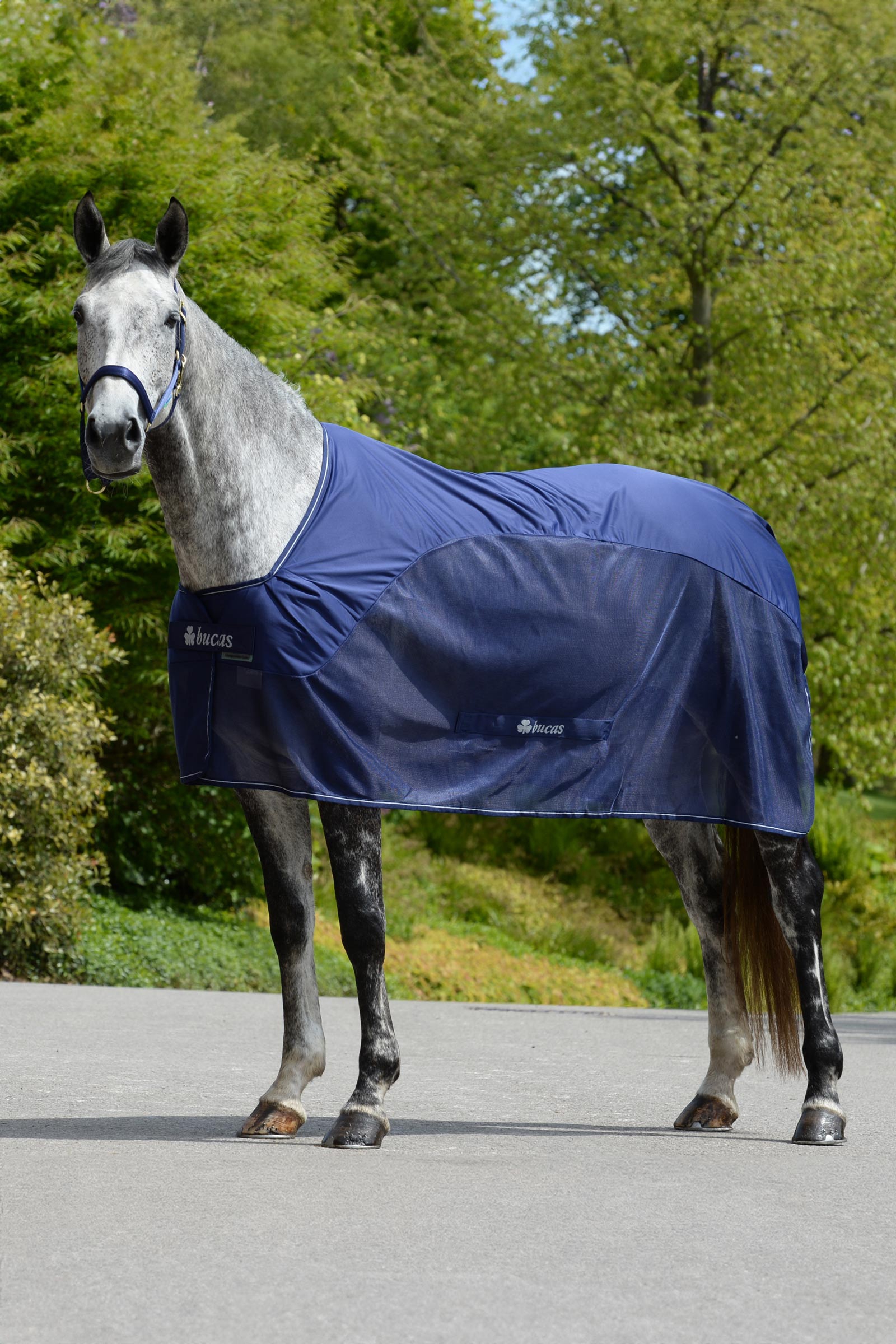 Bucas Competition Abschwitzdecke