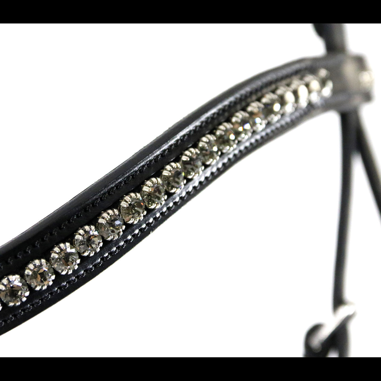 Schockemöhle Sports Equitus Beta Bridle