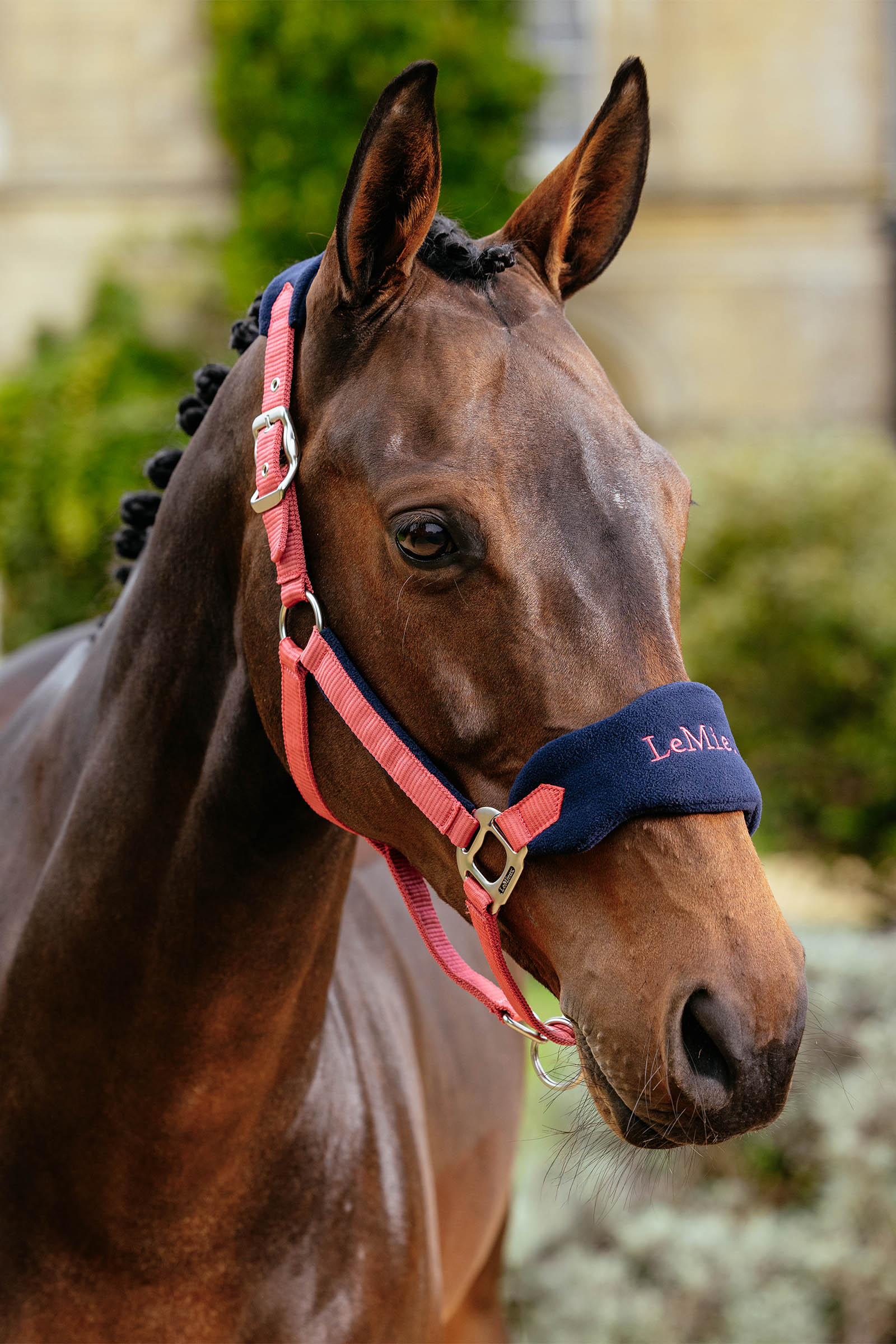 LeMieux Vogue Halfter & Führstrick Set