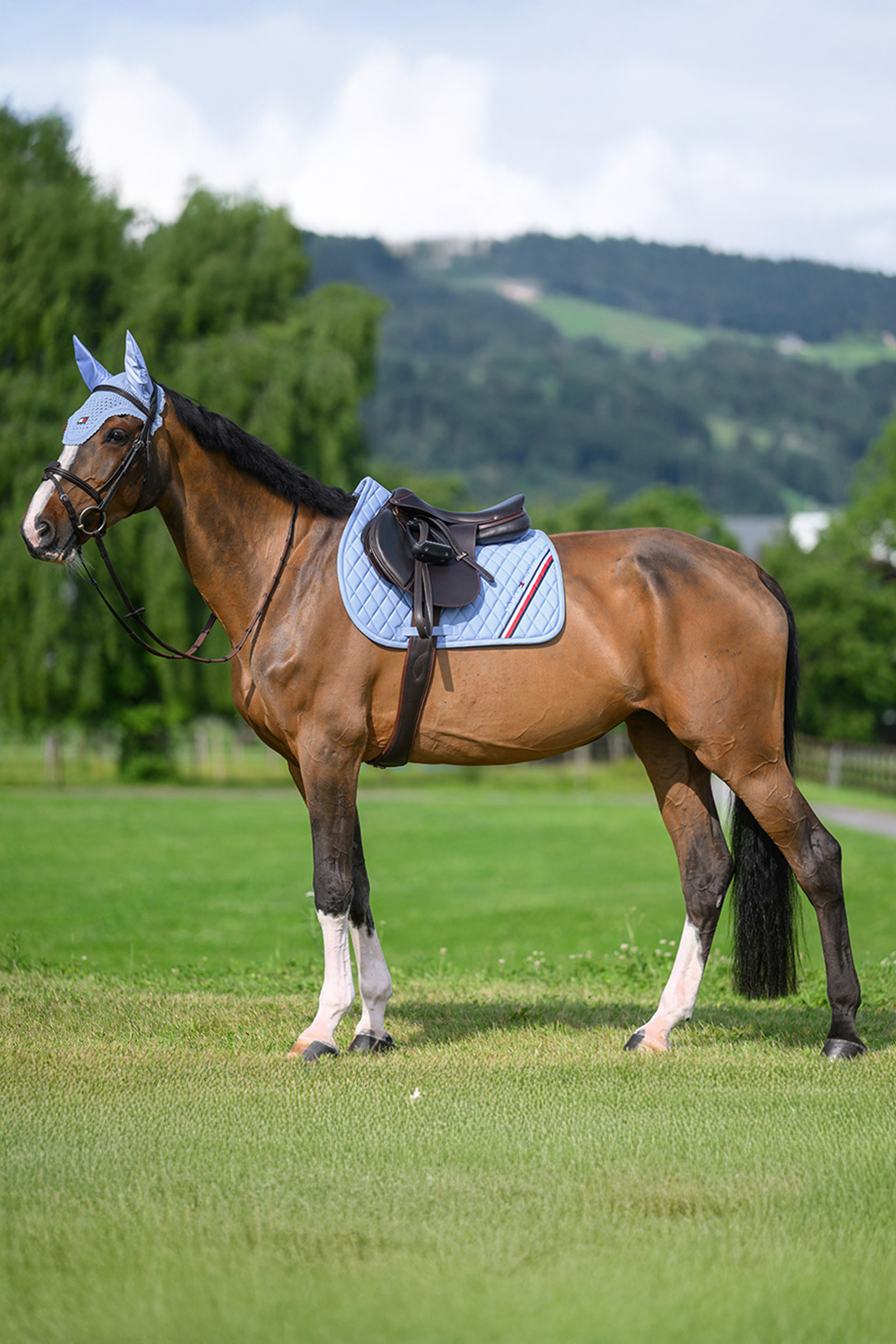 Tommy Hilfiger Equestrian Stanford Springschabracke