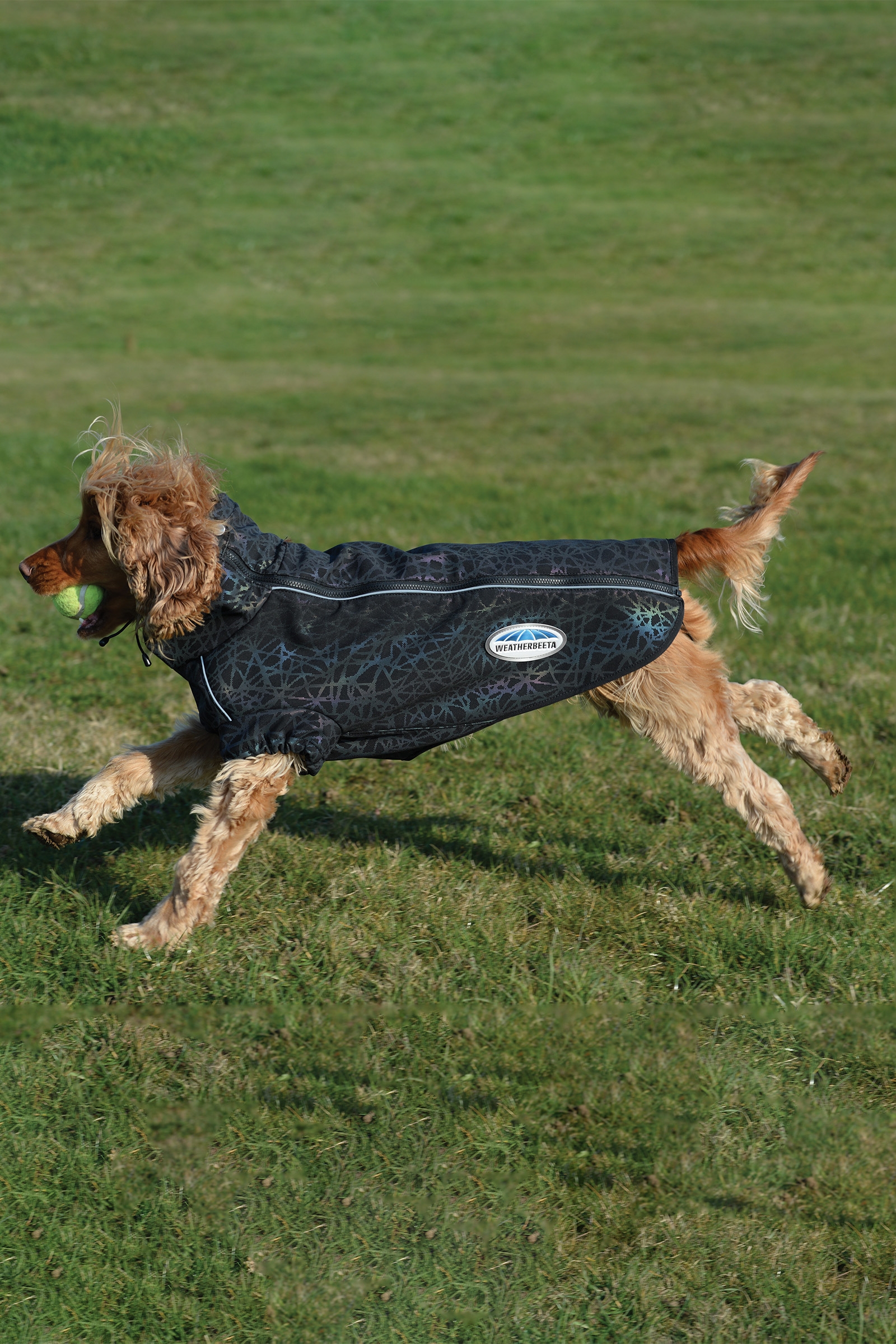 Weatherbeeta Comfitec Reflective Print Active Hundemantel
