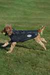 Weatherbeeta Comfitec Reflective Print Active Hundemantel