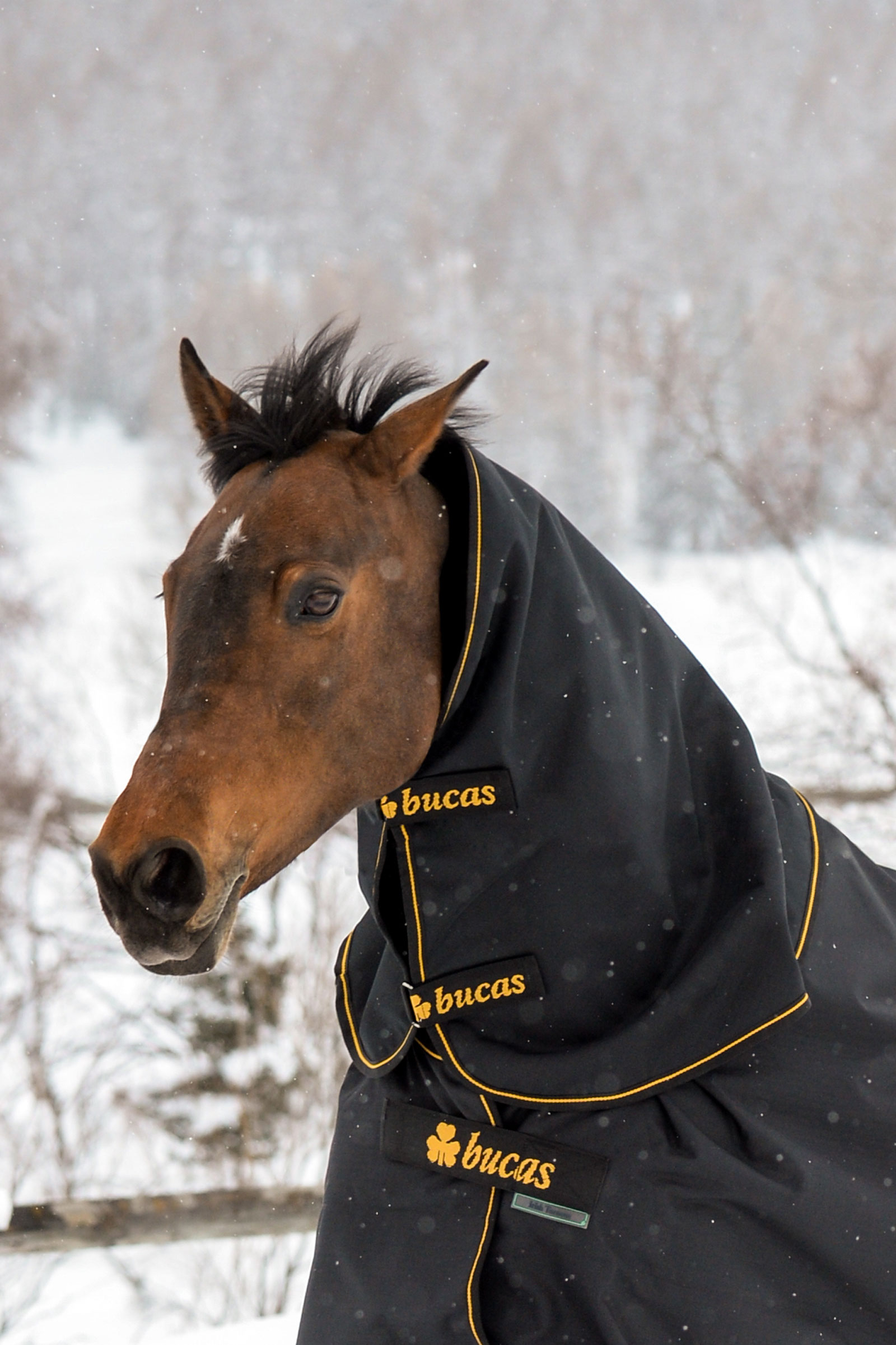 Bucas Irish Turnout Halsteil, 300g