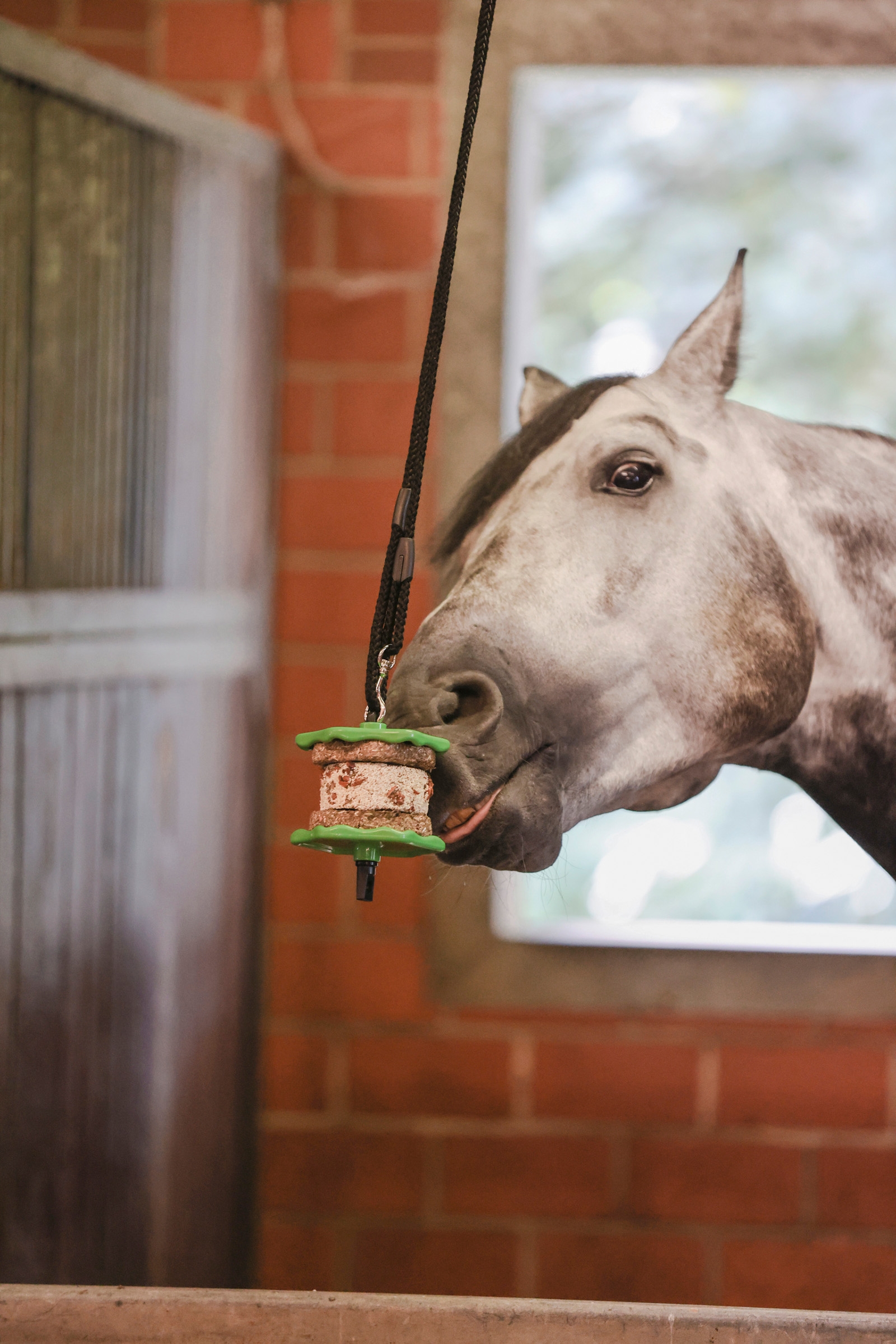 Delizia Sandwich Pferdesnack, 195g