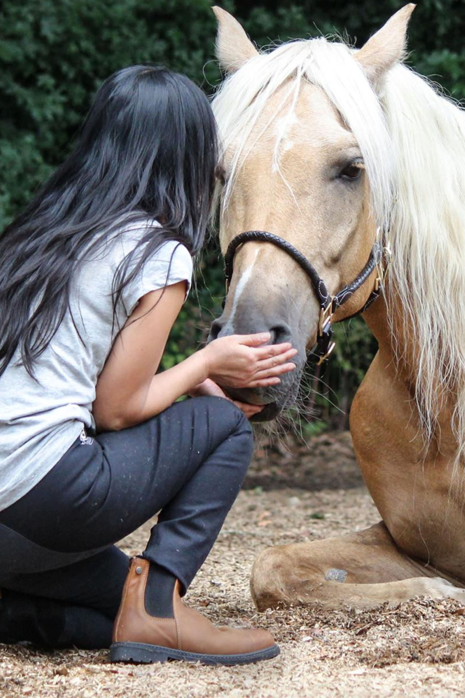 Suedwind Footwear New Work Chelsea Boots