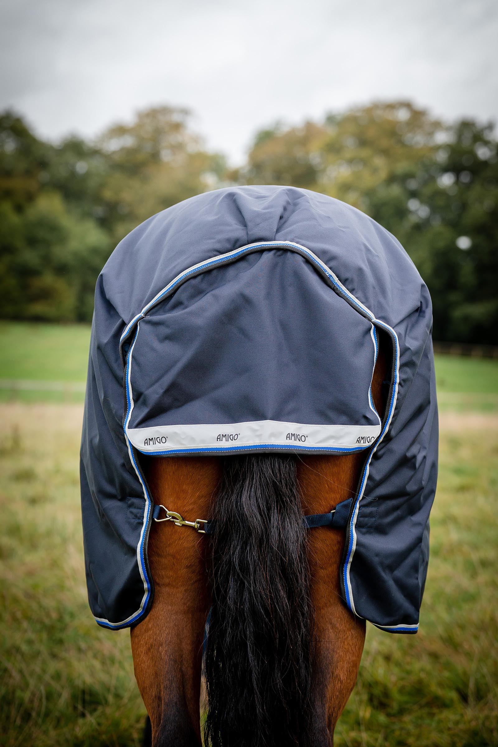 Horseware Amigo Bravo 12 Weidedecke, 250g