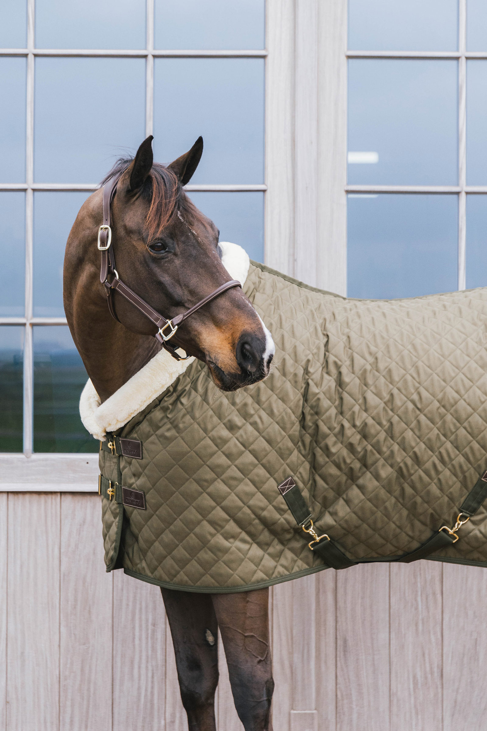 Kentucky Horsewear Show Rug Turnierdecke, 160g