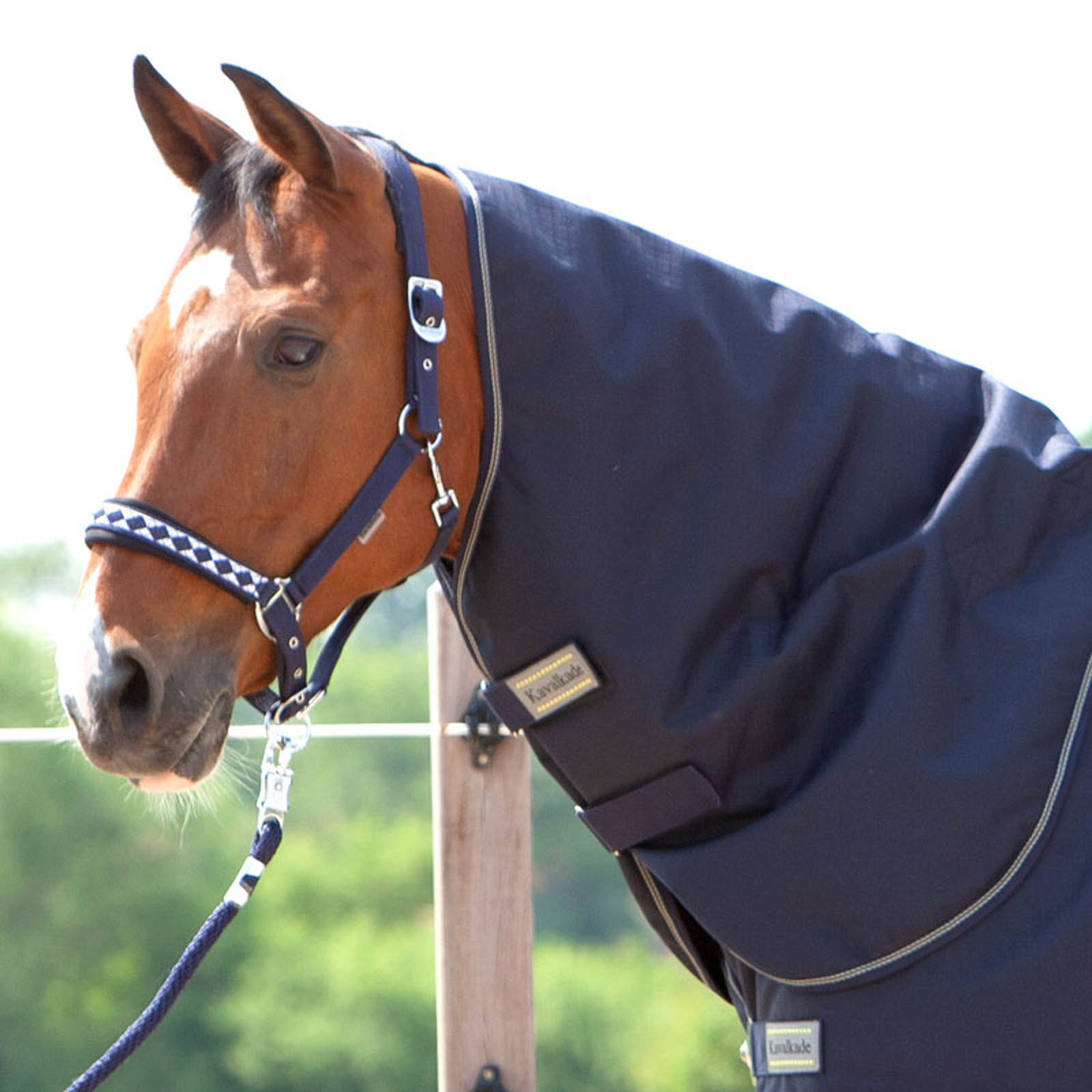 DB/AB Kavalkade Halsteil für Montreal Weidedecke, 100g