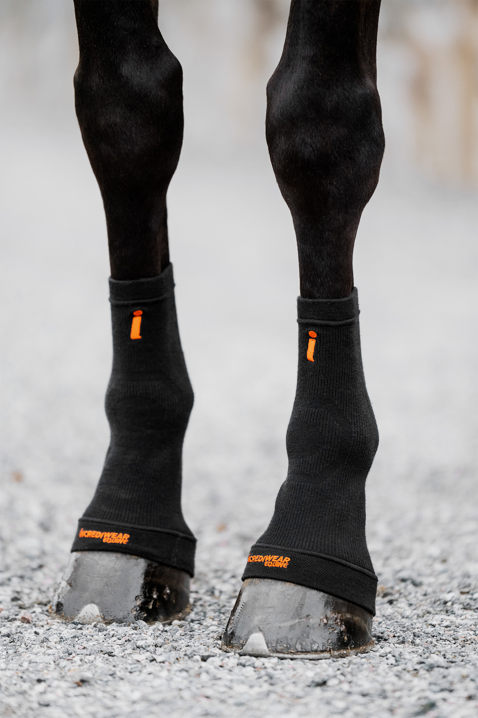 Black Incrediwear Circulation Hoof Socks
