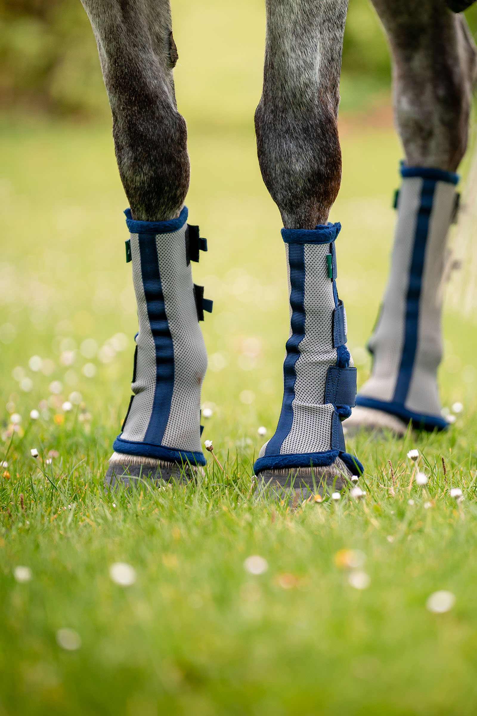 Horseware Fly Boots - Set aus 2