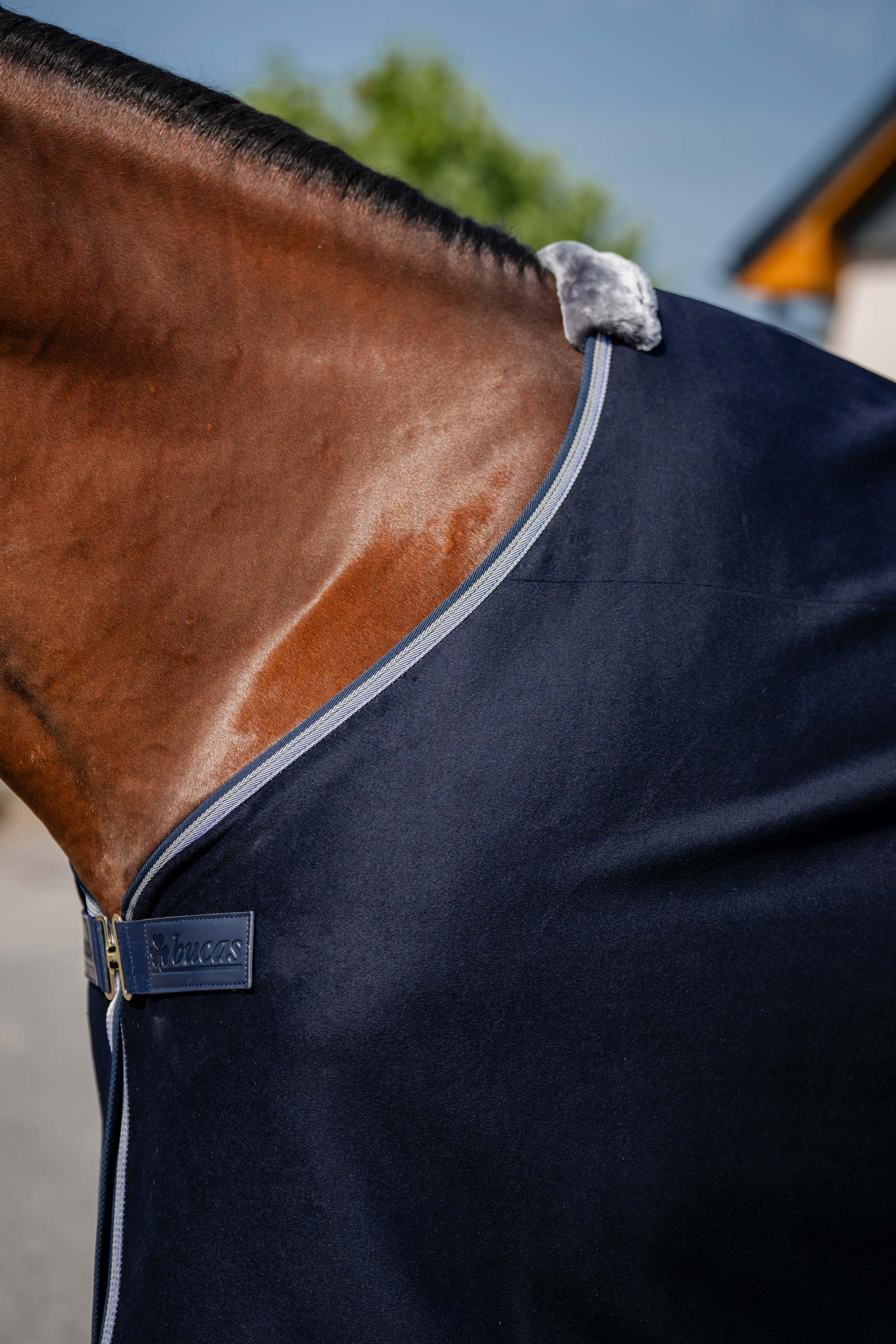 Bucas Emerald Wool Rug