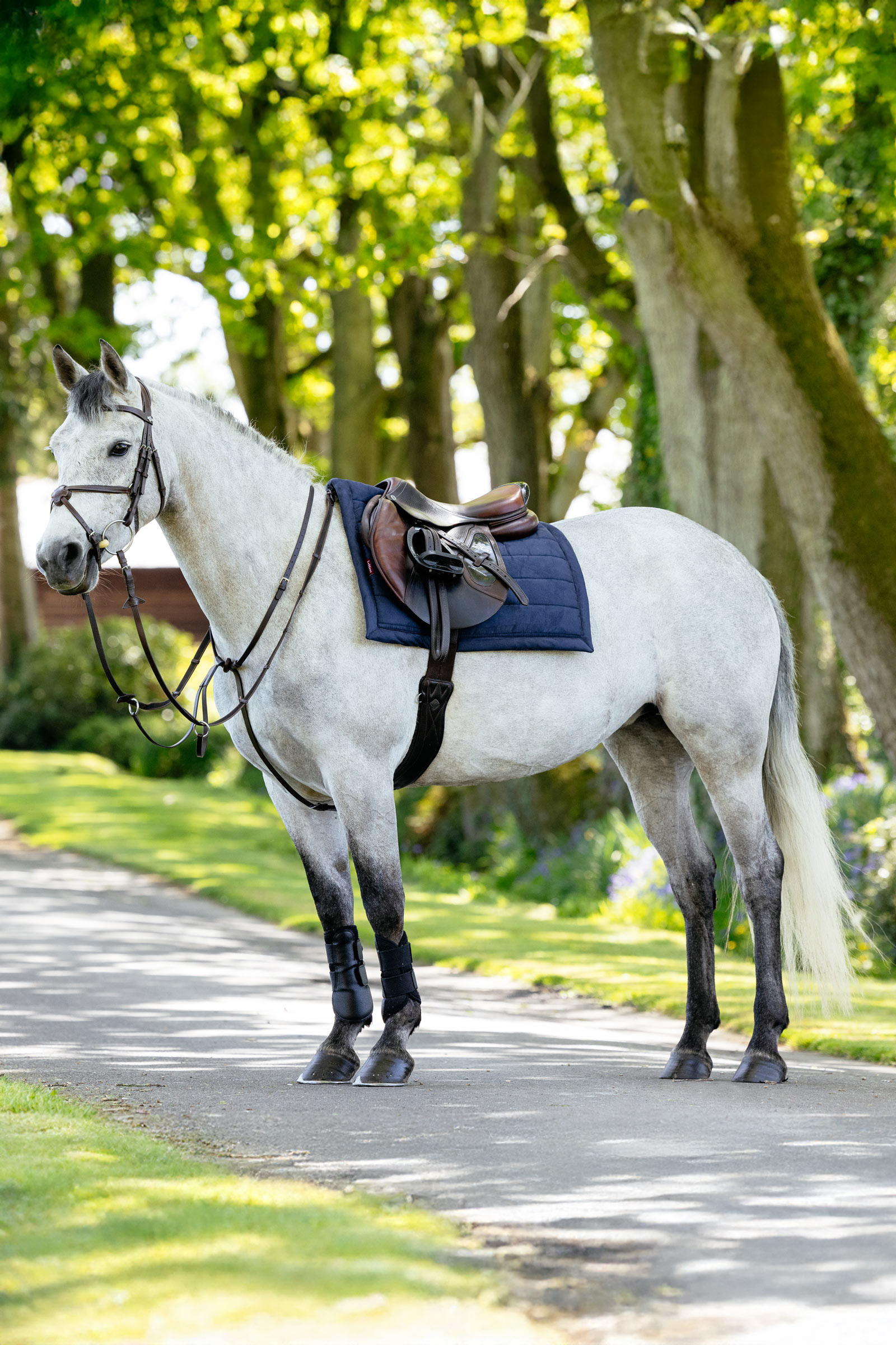 LeMieux Pillow gepolsterte Vielseitigkeitsschabracke