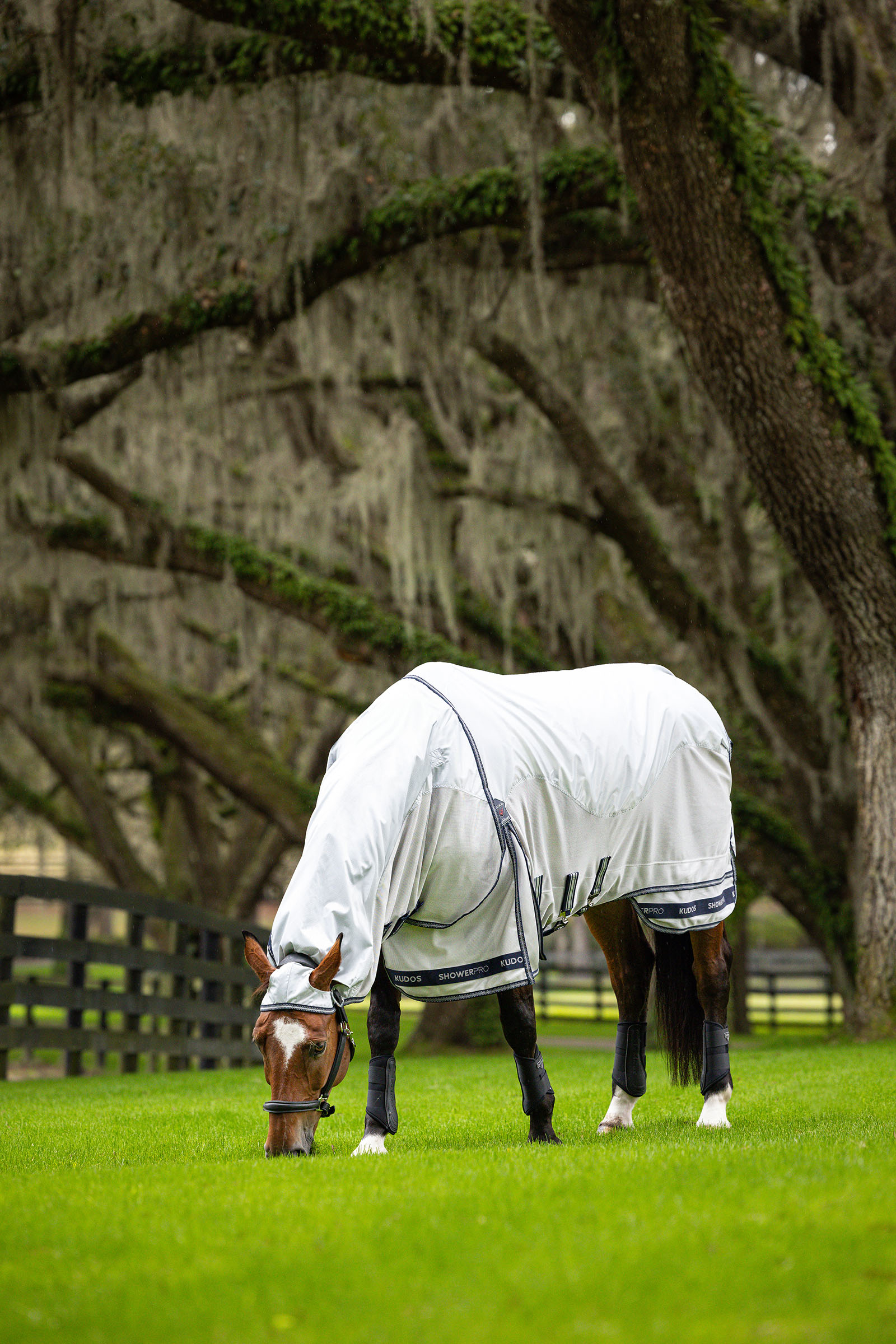 LeMieux Kudos Shower Pro wasserdichte Fliegendecke