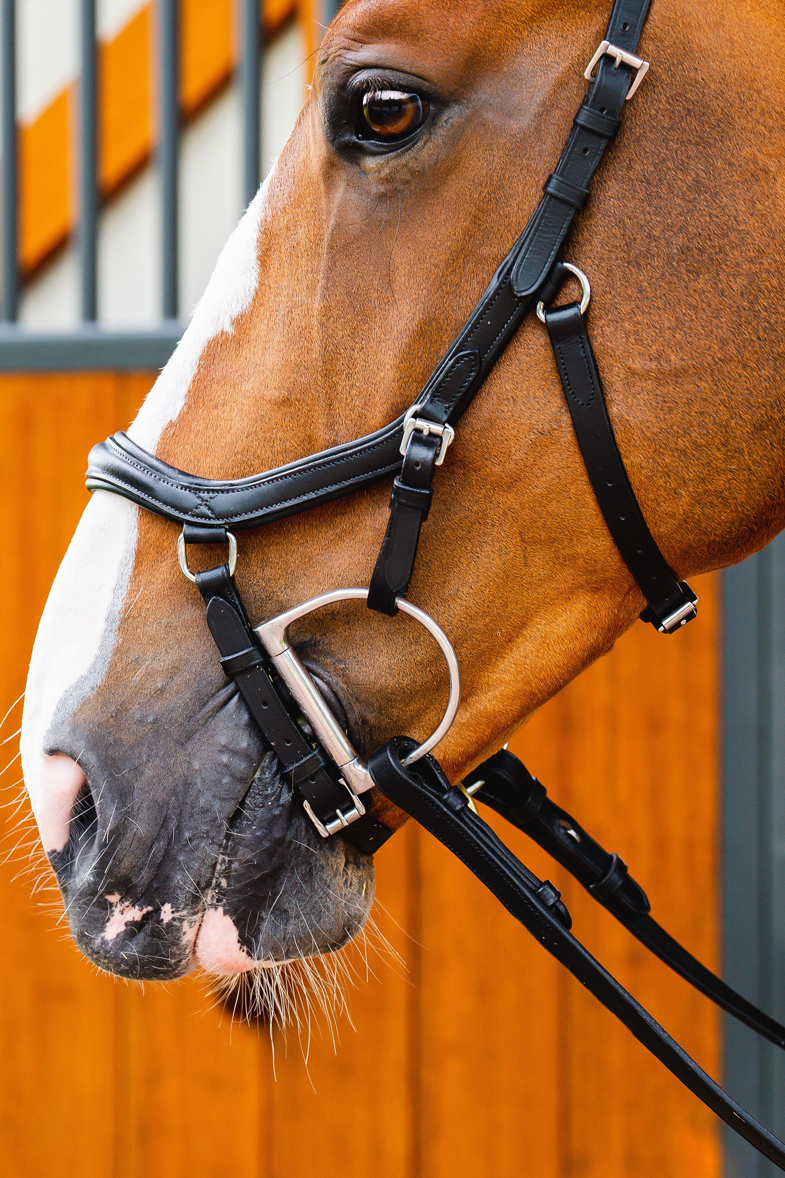 Horseware Micklem 2 Deluxe Competition Trense