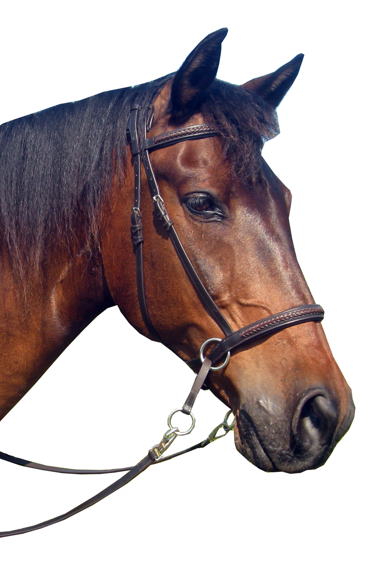 F.R.A. Freedom Riding Articles Ulan Bitless Bridle (System 5) Leather w/ Leather Reins
