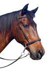 F.R.A. Freedom Riding Articles Ulan Bitless Bridle (System 5) Leather w/ Leather Reins