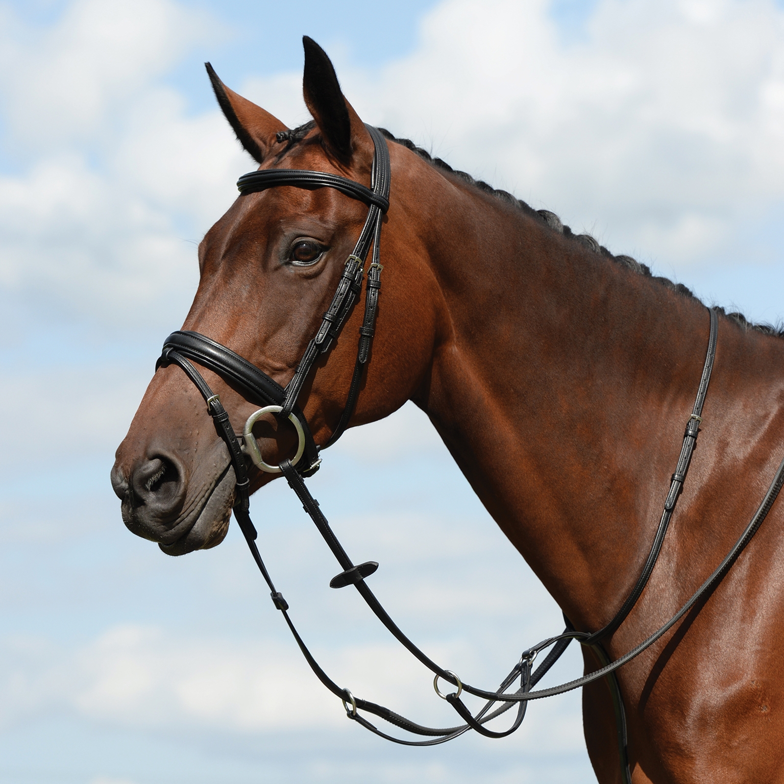 Collegiate Syntovia+ Plain Flat Running Martingale
