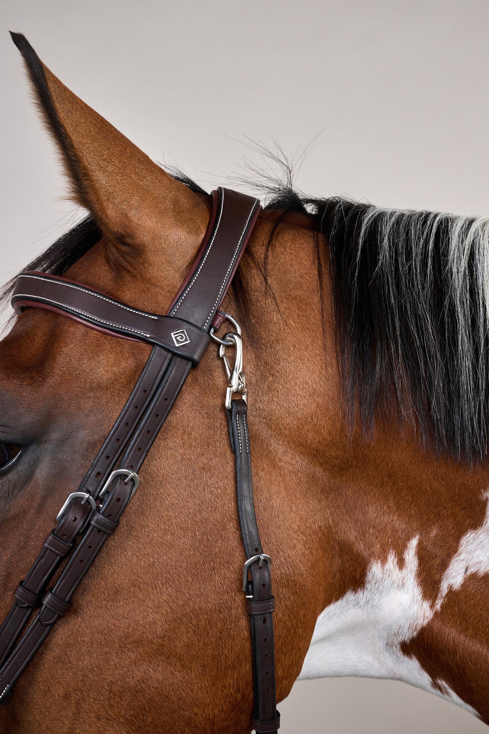 Dy'on Working Trense mit kombiniertem Reithalfter und Karabinerhaken  