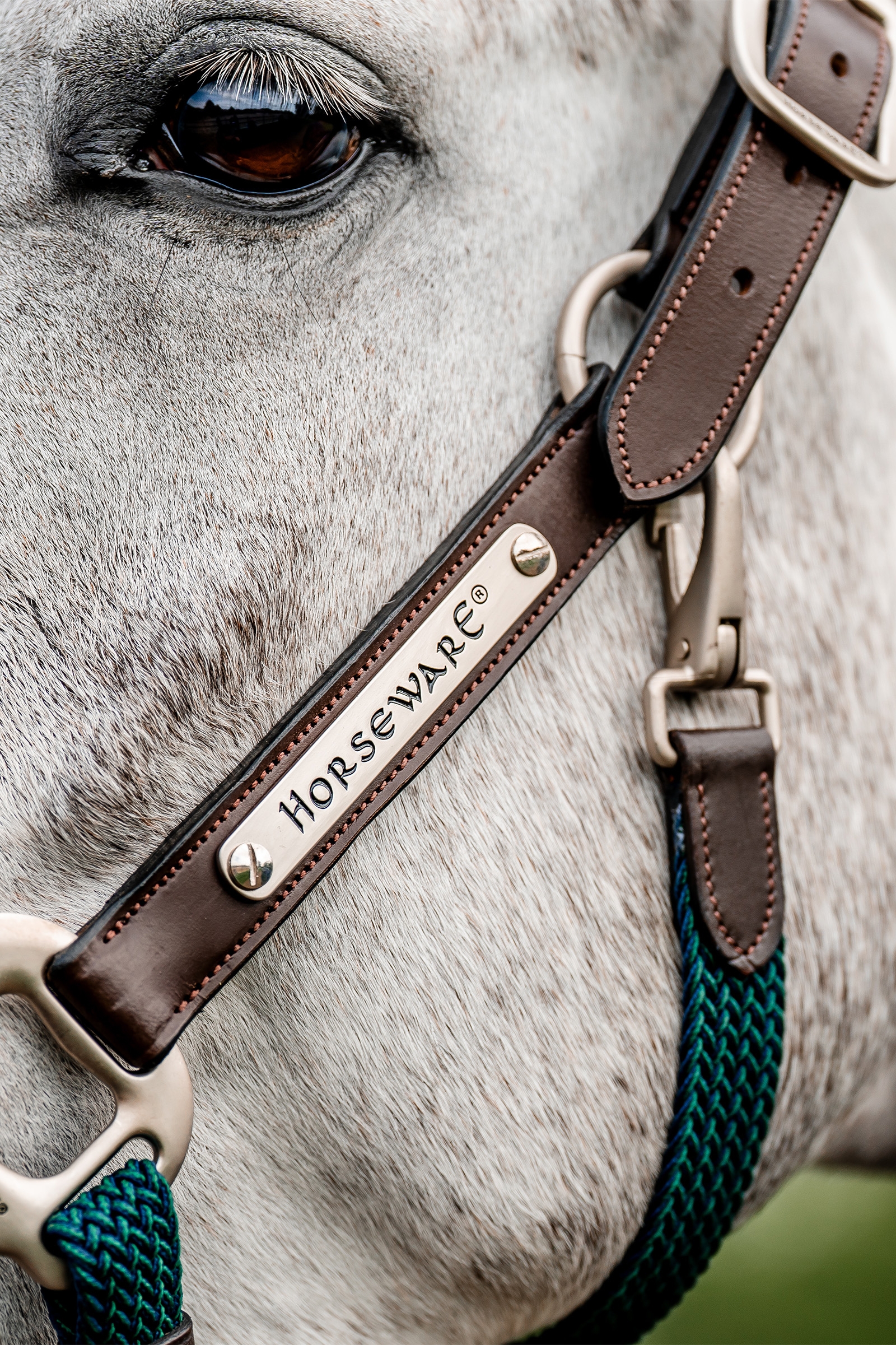 Horseware Signature geflochtenes Halfter