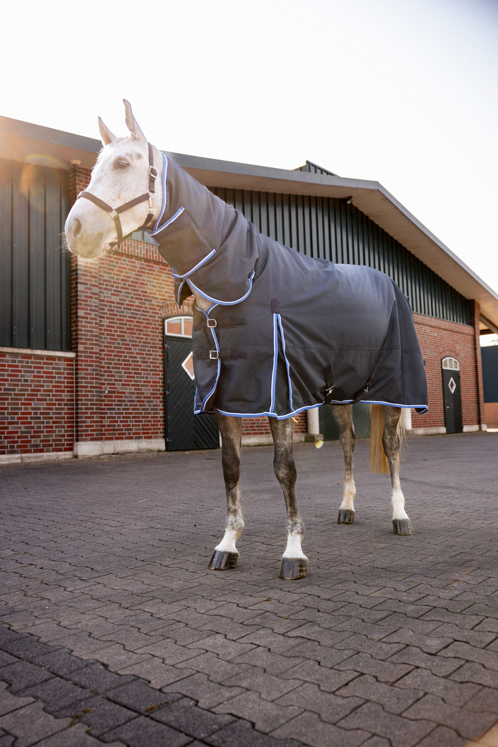 Horze Glasgow Regendecke mit Halsteil, 400g