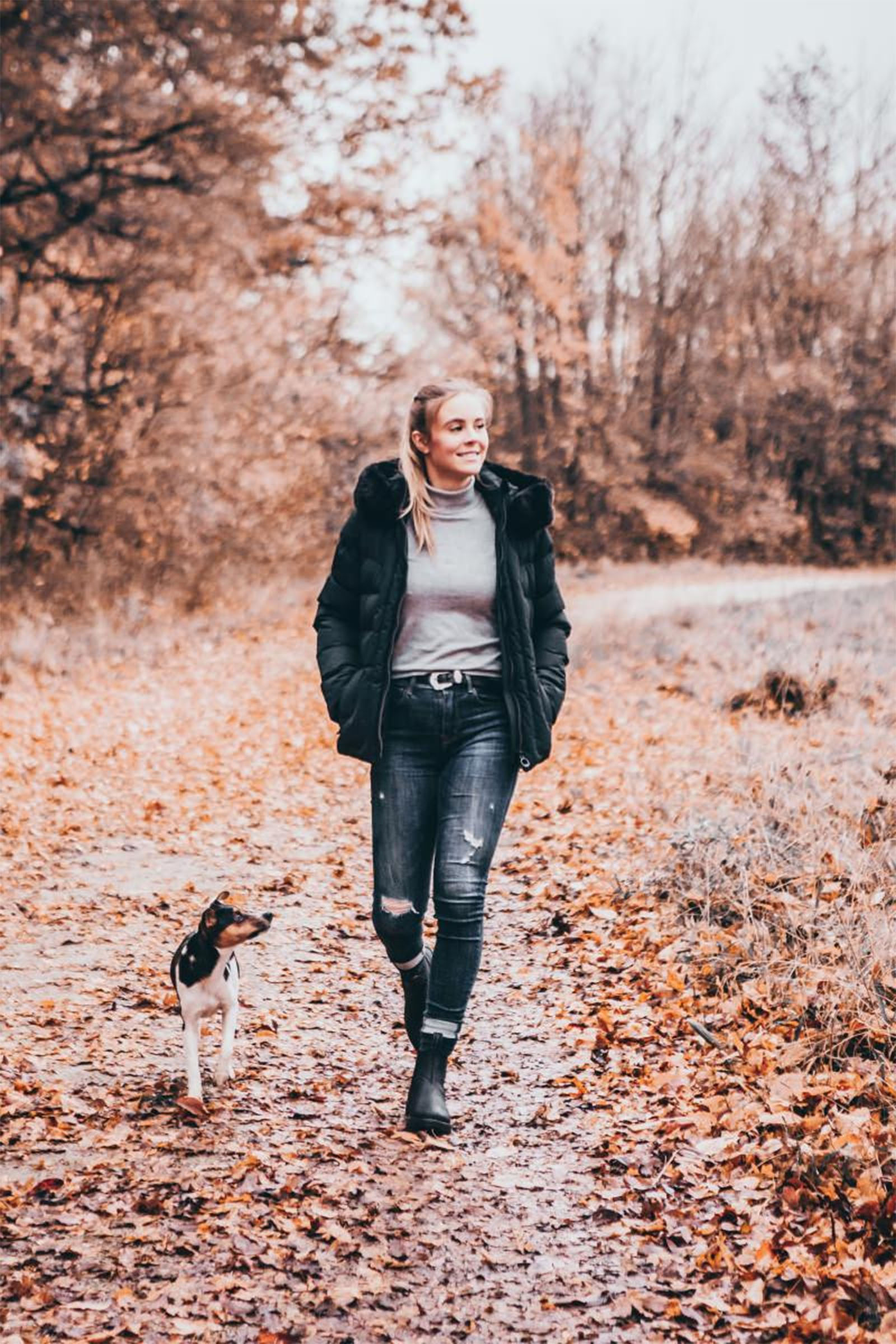 Suedwind Footwear New Work Winter-Stiefeletten Chelsea