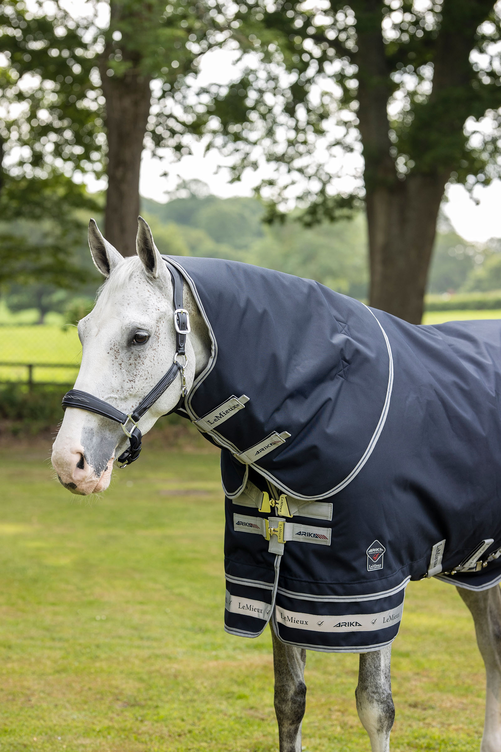 LeMieux Arika federleichte Decke 0g