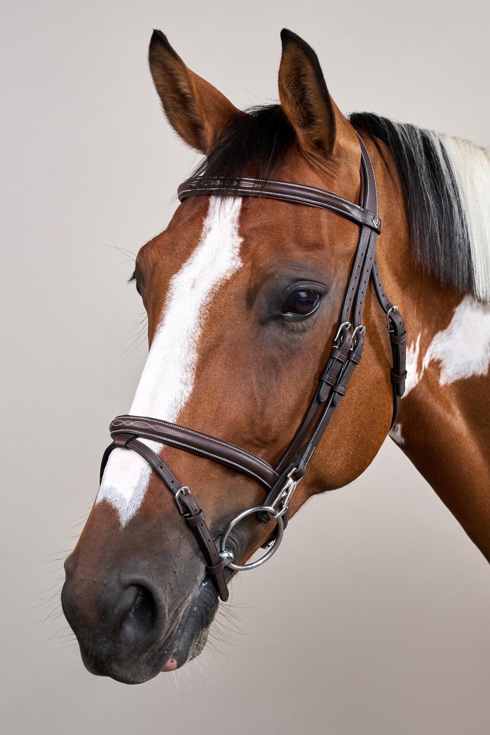 Dy'on Working Trense mit kombiniertem Reithalfter und Karabinerhaken  