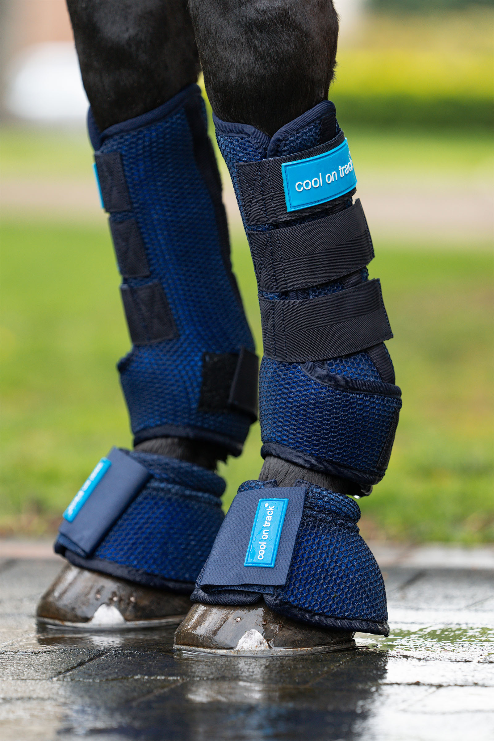 Back on Track Cool on Track Gamaschen