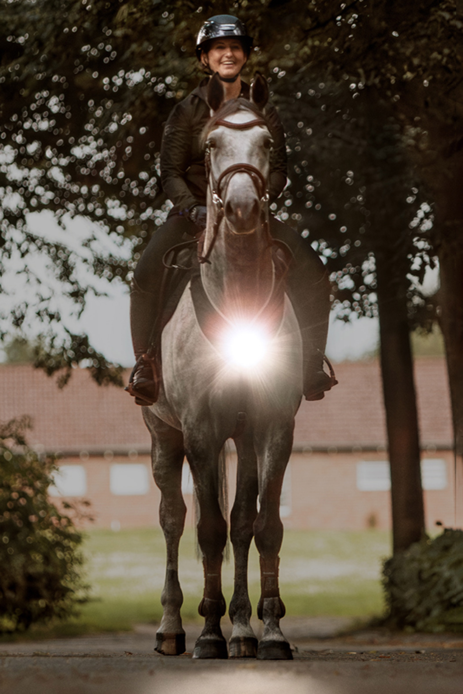 Kavalkade Horselight Vorderzeug mit wei&szlig;em Frontlicht