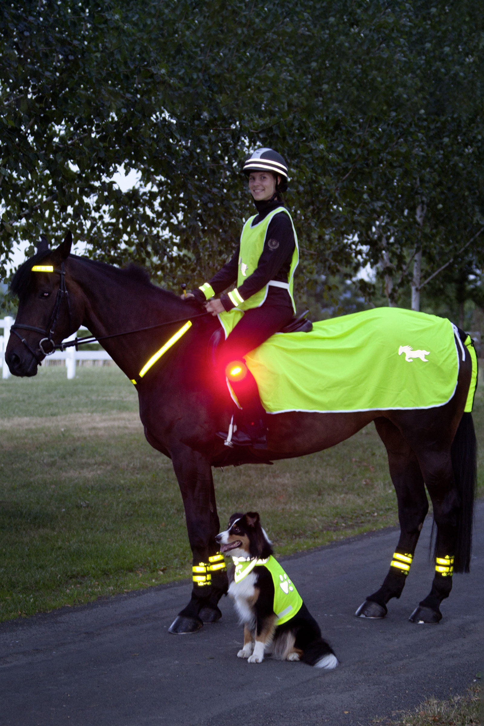 USG Reflektierende Decke