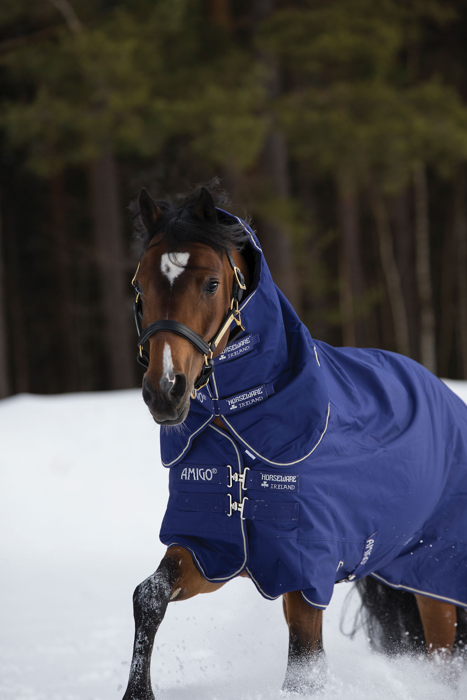 Horseware Amigo Hero 900 Plus Medium Weidedecke, 200g