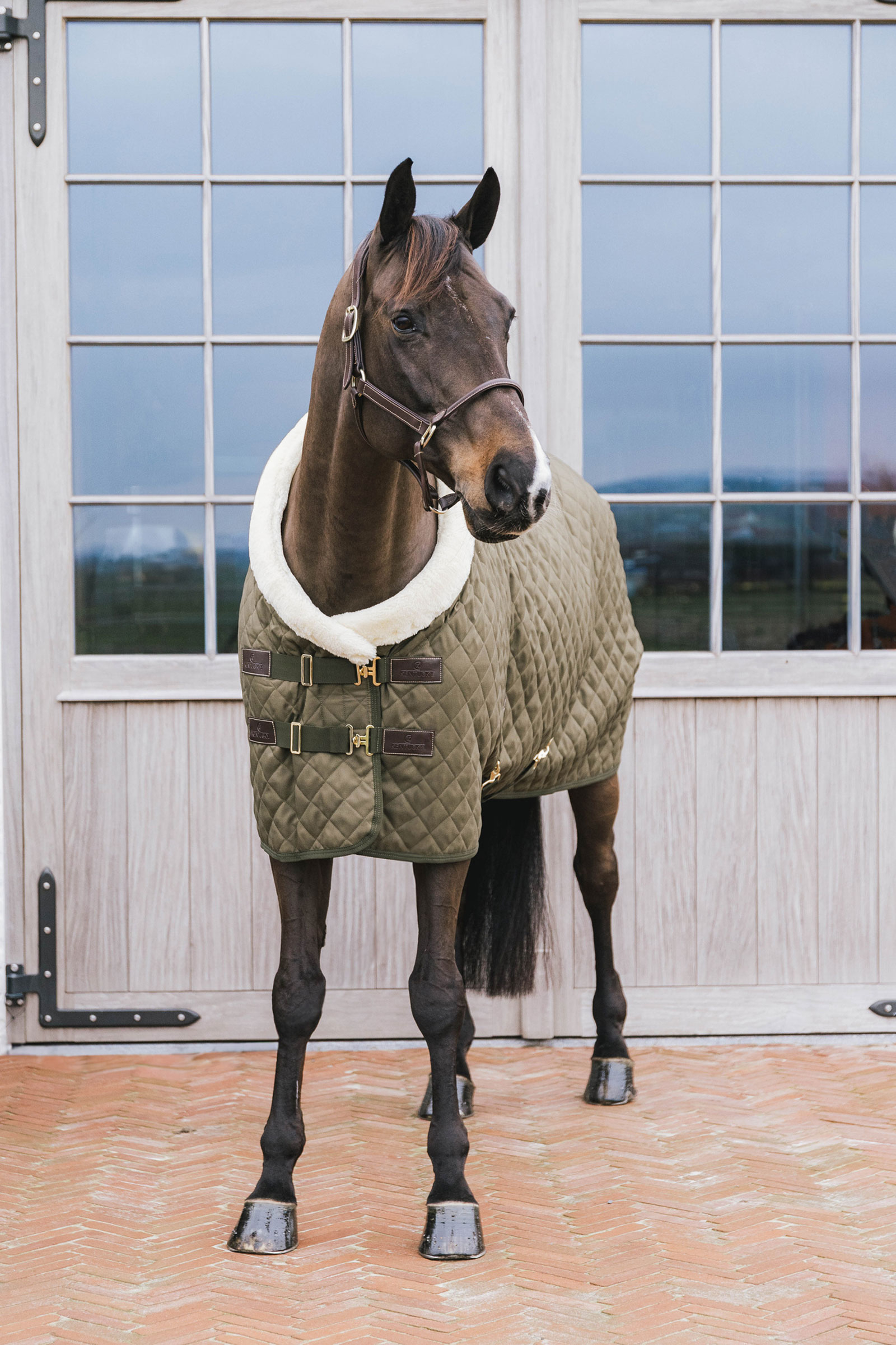 Kentucky Horsewear Show Rug Turnierdecke, 160g