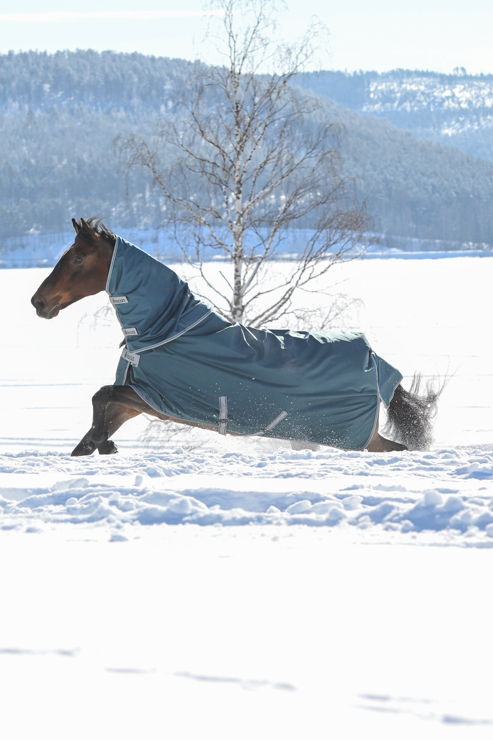 Bucas Atlantic Halsteil für Weidedecke, 300 g