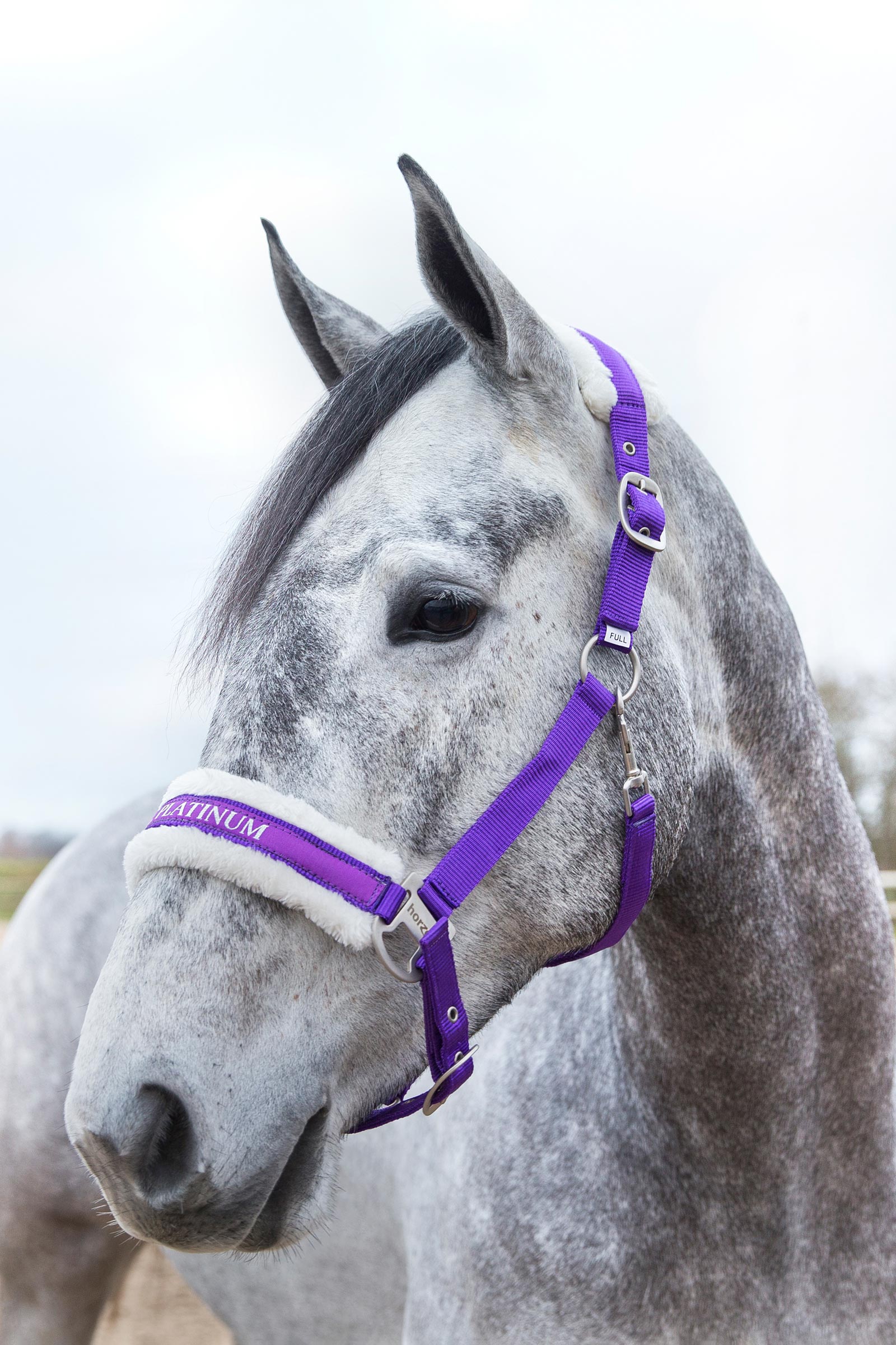 Horze Howard Halfter